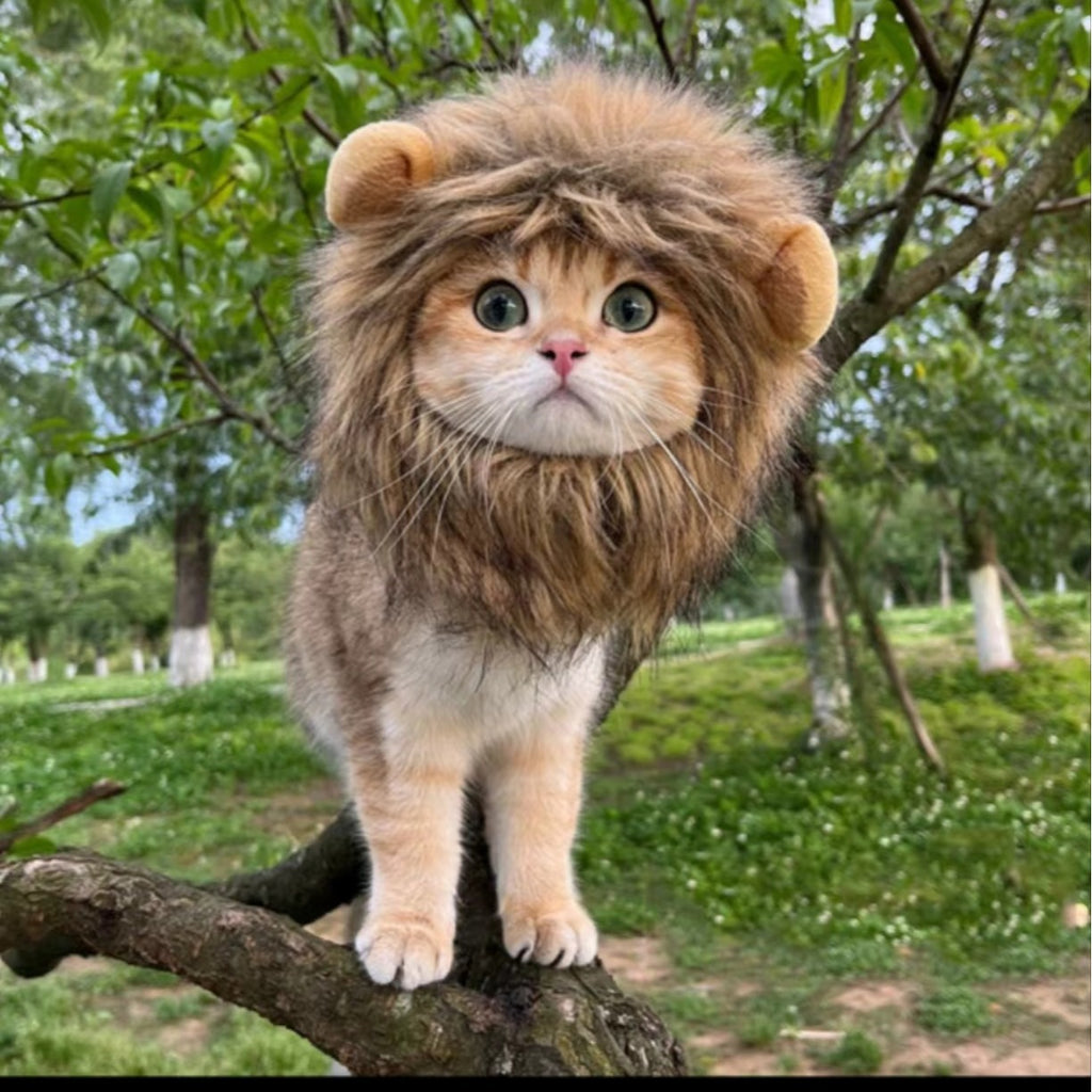 Halloween Lion Transformation Costume Pet Dog Cat Hat Adjustable Dog Accessories Cat Clothing