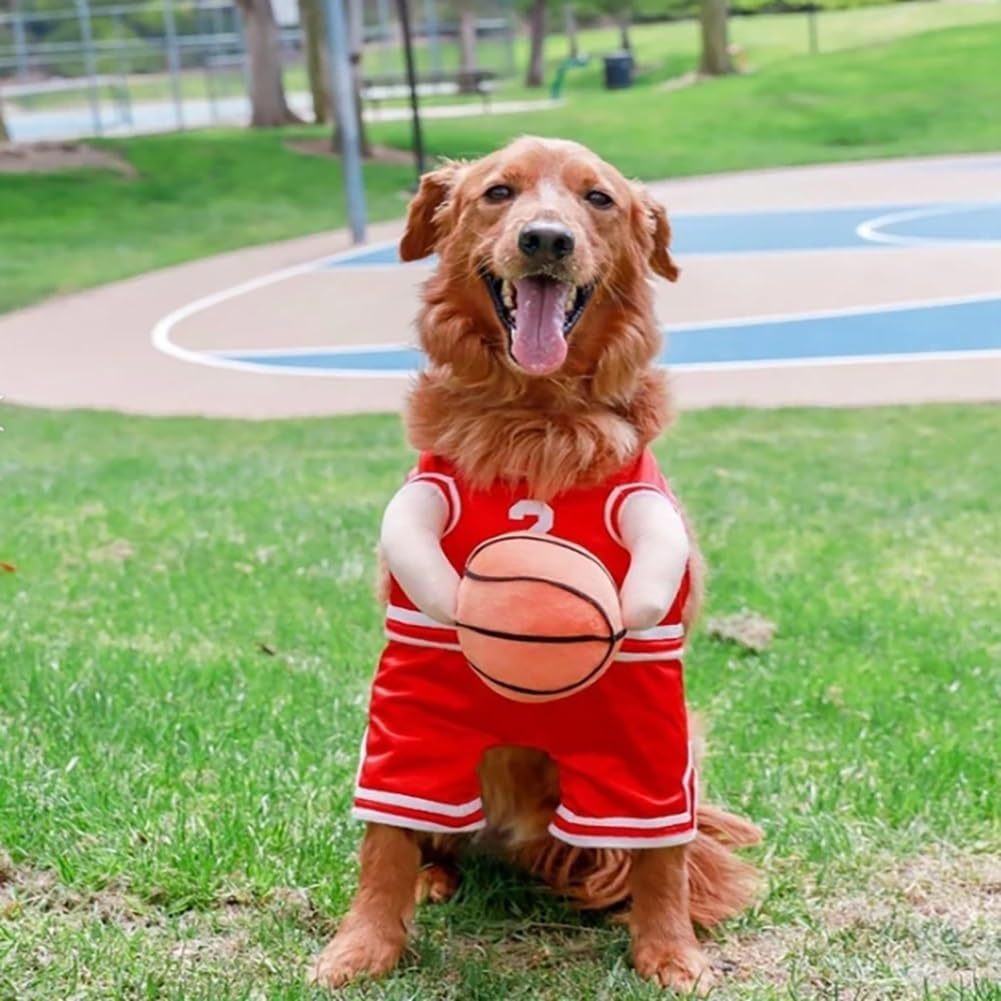 Dog Basketball Outfit, Dog Basketball Player Costume, Dog World Cup Jersey, Basketball Clothes for Dogs